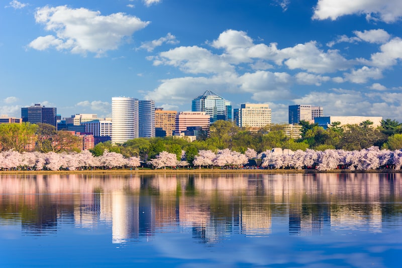 spring-season-at-the-Tidal-Basin-with-the-Rossyln-business-district-skyline-in-the-background-in-Arlington-min